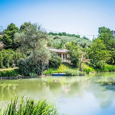 Giuncheto Piscina By Interhome